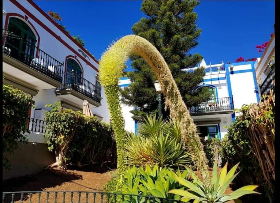 Dailos' Home Puerto De Mogan Exterior foto